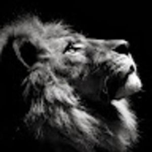 Meet your Posher, Sadique